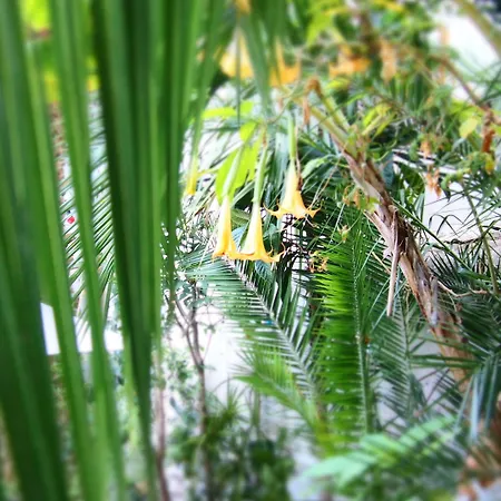 Hotel Privat Liberty Sitges