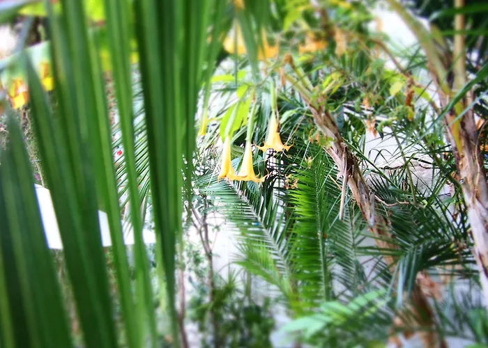 Hotel Privat Liberty Sitges